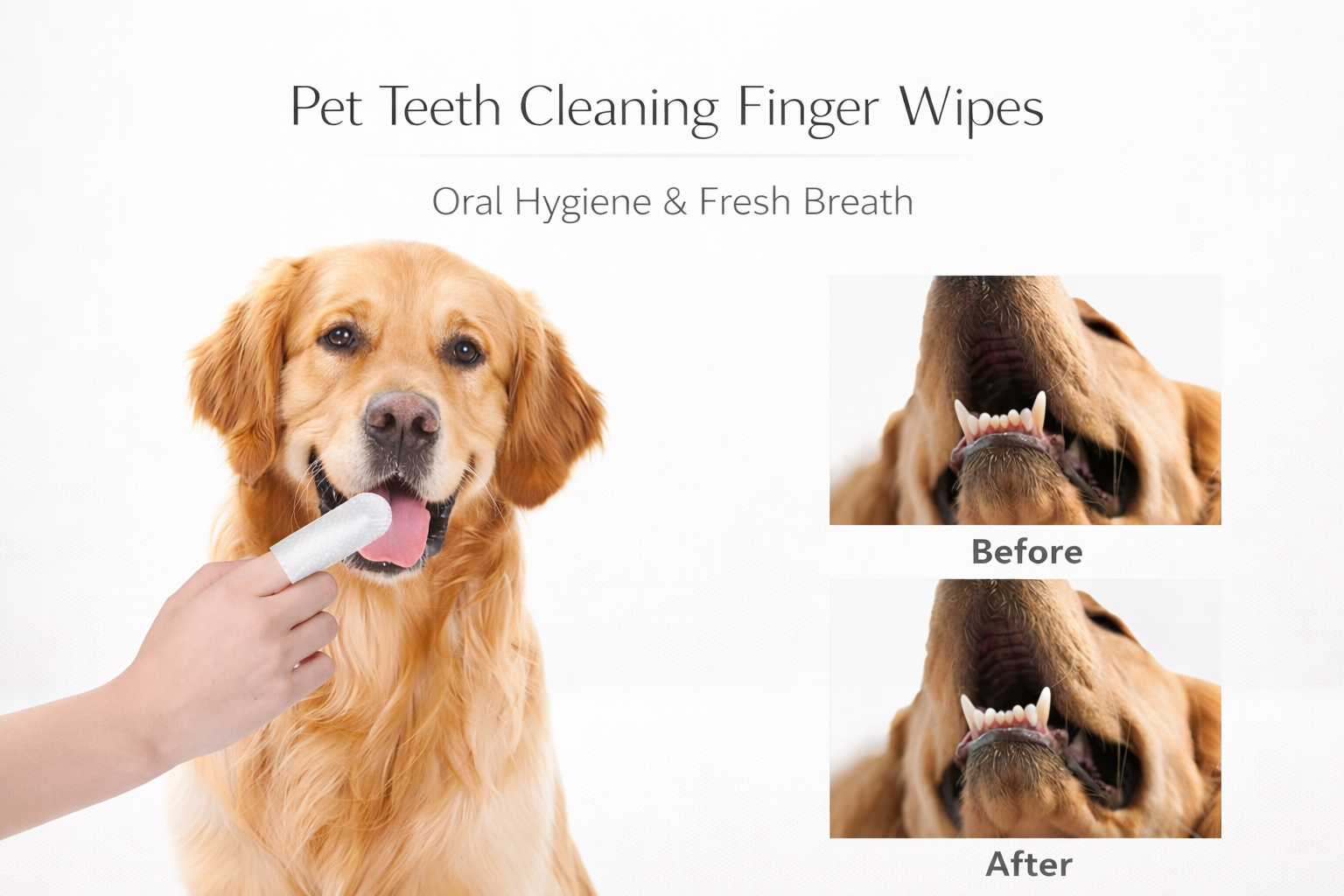 Coco Sniffs Disposable Dental Finger Wipes For Pets